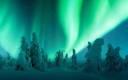 Süper Promo Lapland Beyaz Rotalar Turu - THY ile 4 Gece