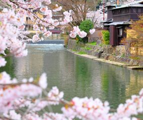 Japonya Turu Emirates HY ile 6 Gece Tüm Şehir Turları Dahil