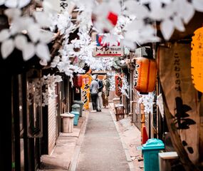 Japonya Turu Emirates HY ile 6 Gece Tüm Şehir Turları Dahil