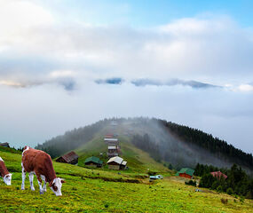 Karadeniz Yaylalar ve Batum Turu Pegasus HY ile 4 Gece