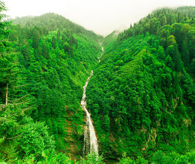 Karadeniz Yaylalar ve Batum Turu Pegasus HY ile 4 Gece
