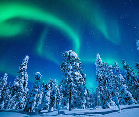 Lapland Kuzey Işıkları Gezisi Turu - THY ile 3 Gece - Tüm Geziler Dahil 