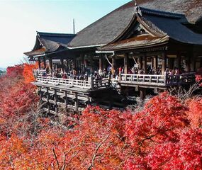 Japonya ve Kore Uzakdoğu Rotası Turu THY ile 7 Gece