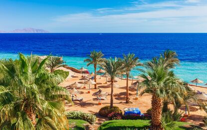 Sharm El Sheikh - Kızıldeniz Rotası Turu THY ile 4 Gece