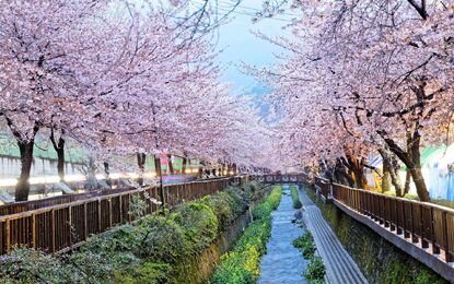 Kore ve Japonya Turu Emirates Havayolları ile 9 Gece - Tüm Turlar Dahil