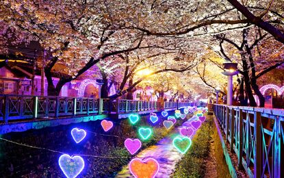 Kore ve Japonya Turu Emirates Havayolları ile 9 Gece - Tüm Turlar Dahil