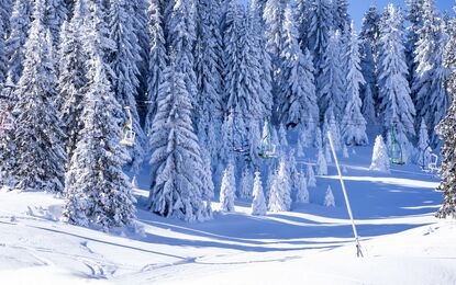 Bosna Hersek Jahorina Kayak Turu THY ile 3 Gece - Yılbaşı Dönemi