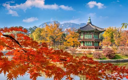 Elegant Japonya ve Güney Kore Turu THY ile 9 Gece