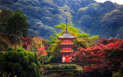 Elegant Japonya ve Güney Kore Turu THY ile 9 Gece