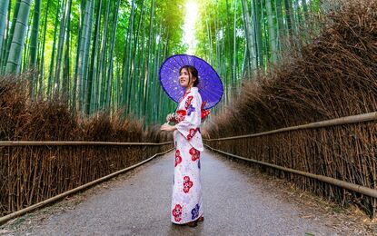 Elegant Japonya ve Güney Kore Turu THY ile 9 Gece