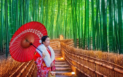 Elegant Japonya ve Güney Kore Turu THY ile 9 Gece