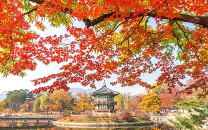Elegant Japonya ve Güney Kore Turu THY ile 10 Gece Kurban Bayramı Dönemi