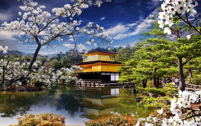 Elegant Japonya ve Güney Kore Turu THY ile 10 Gece Kurban Bayramı Dönemi