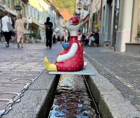 Elit Alsace ve Colmar Turu (Zürih Dönüş) THY ile 3 Gece Ekstra Turlar Dahil