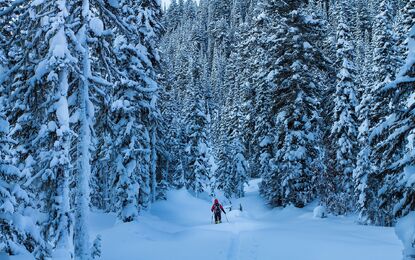 Elit İskandinavya Fiyordlar Turu THY ile 9 Gece Ekstra Turlar Dahil (CPH - TLL)