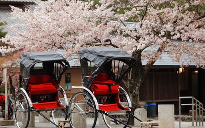 Comfort Japonya Turu THY ile 6 Gece - Ekstra Turlar Dahil