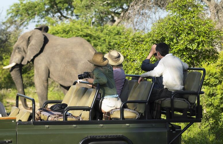 Güney Afrika Safari Turu Rotası THY ile 6 Gece