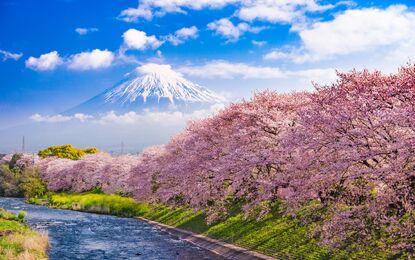 Elegant Japonya Güney Kore Turu THY ile  7 Gece Ekstra Turlar Dahil