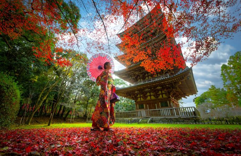 Büyük Japonya Turu All Nippon HY ile 6 Gece ( Light Paket )