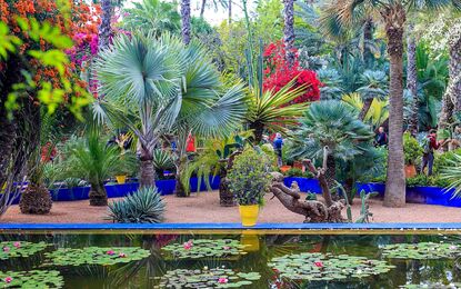 Elegant Fas Çöl Safari Turu Air Arabia HY ile 4 Gece Ekstra Turlar Dahil