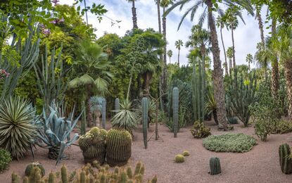 Elegant Fas Çöl Safari Turu THY ile 4 Gece Ekstra Turlar Dahil (CMN-RAK)