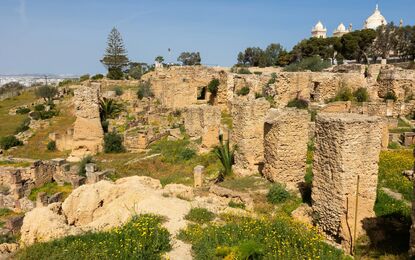 Elegant Sahra Çölü & Tunus Hazineleri Turu THY ile 5 Gece Ekstra Turlar Dahil