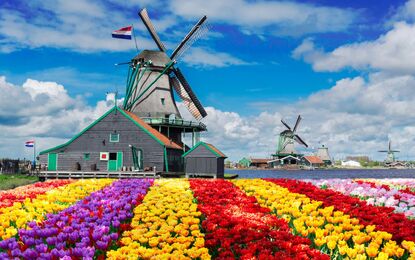 Elit Hollanda Amsterdam Turu THY ile 4 Gece Ekstra Turlar Dahil Kurban Bayramı Dönemi