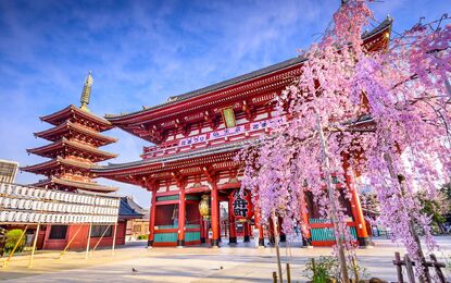 Süper Promo Japonya Turu Rotası Thy ile 6 Gece 8 Gün