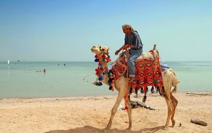 Sharm El Sheikh Turu Kızıldeniz Rotası THY ile 4 Gece 5 Gün
