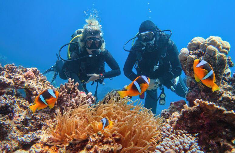 Sharm El Sheikh - Kızıldeniz Rotası (Rixos Otelleri - 3 Gece) Thy ile 4 Gün