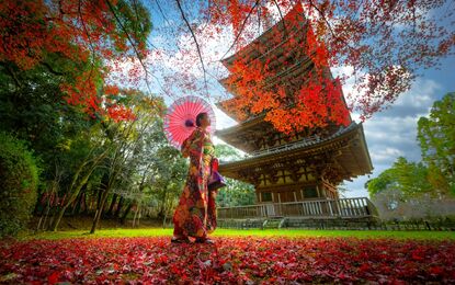 Dolu Dolu Sakura Dönemi Özel Japonya & Kore Mistik Rotalar Turu  V2 THY ile 6 Gece Tüm Turlar Dahil
