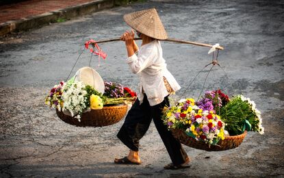 Süper Promo Vietnam & Kamboçya Rotası Turu THYile 7 Gece V2 