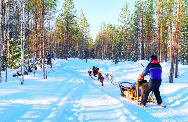 Ankara Çıkışlı Dolu Dolu Lapland Turu THY ile 5 Gece Sömestre Özel