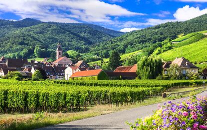 Süper Promosyon Alsace ve Colmar Turu THY İle 4 Gece ( BSL- BSL )