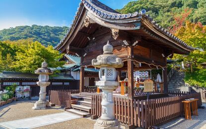 Elit Japonya Turu THY ile 6 Gece Ekstra Turlar Dahil ( NRT-KIX )