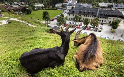 Bernina Express İle Elit İtalya, Liechtenstein, Avusturya, Almanya, İsviçre Turu THY ile 5 Gece Ekstra Turlar Dahil