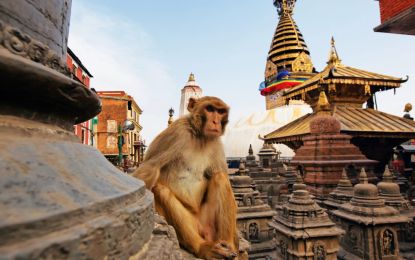 Dolu Dolu Nepal Turu Himalayalar’da Yoga Rotası Thy ile 5 Gece
