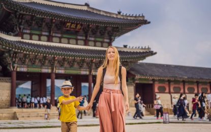 Comfort Japonya - Kore Turu THY ile 8 Gece Ekstra Turlar ve Çay Seremonisi Dahil - Sakura Dönemi