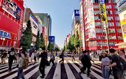 Comfort Japonya - Kore Turu THY ile 8 Gece Ekstra Turlar ve Çay Seremonisi Dahil - Sakura Dönemi