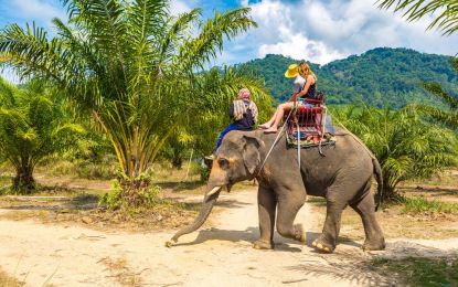 Dolu Dolu Bangkok & Pattaya & Phuket Tayland'ın İncisi Rotalar Thy ile 7 Gece Tüm Turlar Dahil
