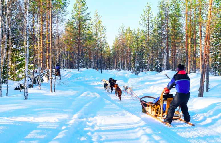 Büyüleyici Kuzey Işıkları & Lapland Turu THY ile 3 Gece Turlar Dahil