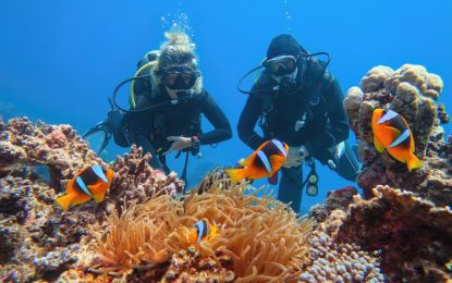 Fırsat Piramitlerden Kızıl Denize Kahire & Sharm El Sheikh Turu Rotası (Tüm Turlar Dahil) Thy ile 5 Gece