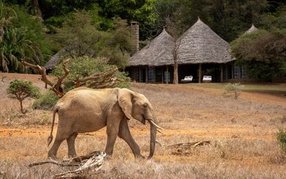 Flex Güney Afrika Safari Turu THY ile 5 Gece
