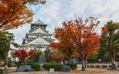 Comfort Japonya & Kore Turu THY ile 8 Gece Ekstra Turlar ve Çay Seremonisi Dahil ICN-KIX