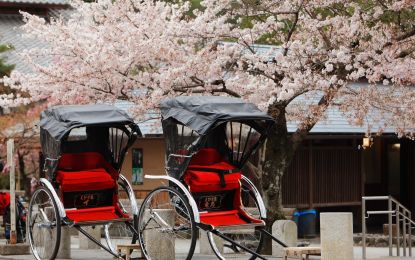 Comfort Japonya & Kore Turu Emirates HY ile 9 Gece Ekstra Turlar ve Çay Seremonisi Dahil HND-ICN
