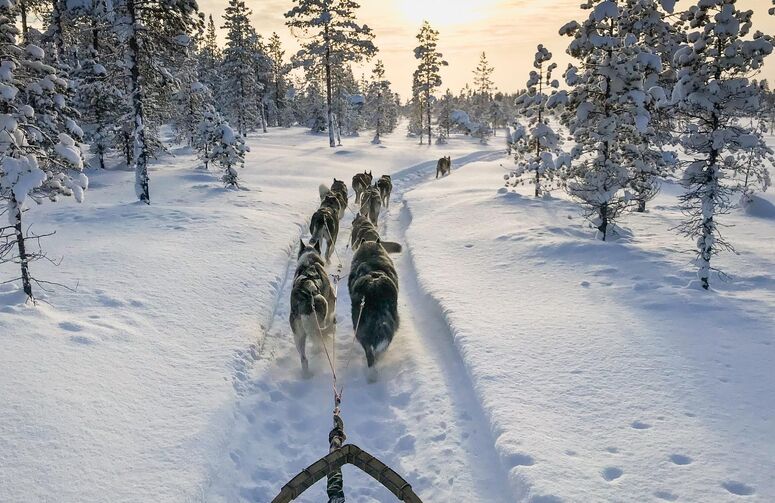 Süper Promo Lapland Beyaz Rotalar Turu THY ile 3 Gece