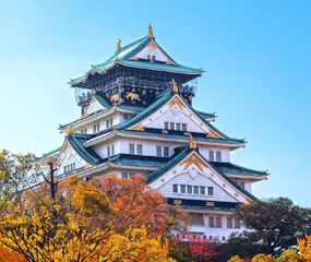 Sakura Dönemi Japonya - Kore Mistik Rotalar Turu THY ile 7 Gece