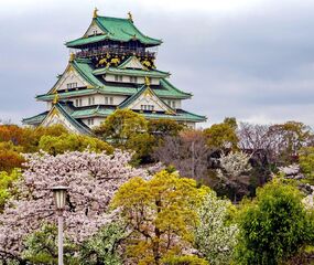 Sakura Dönemi Japonya - Kore Mistik Rotalar Turu THY ile 7 Gece