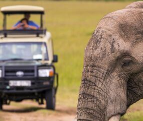 Güney Afrika Safari Rotası Turu THY ile 6 Gece