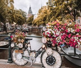 Elit Hollanda Amsterdam Turu THY ile 4 Gece Yılbaşı Dönemi Ekstra Turlar Dahil